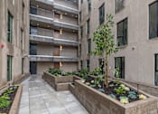 Thumbnail 22 of 29 - A courtyard with a tree and planters in front of a building.