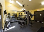 Thumbnail 22 of 48 - treadmills, eliptical, bikes and free weights