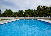 Thumbnail 24 of 48 - Olympic size swimming pool