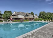 Thumbnail 19 of 41 - Olympic size swimming pool