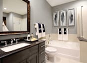 Thumbnail 4 of 45 - Luxury bath suite with granite slab vanity top, frameless glass walk-in shower with separate soaking tub at Le Palais Apartments in Houston.