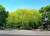 Thumbnail 22 of 35 - Apartments in northwest Omaha with beautiful landscaping, scenic views, lots of trees, and park-like setting at LionsHead Apartments in Omaha, Nebraska