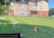 Thumbnail 17 of 35 - Spacious private dog park with bench and shade trees at Breckenridge Apartments in Omaha, NE