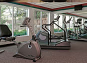 Thumbnail 8 of 27 - Fitness center with cardio equipment and huge windows at Kensington Woods Apartments in Omaha Nebraska