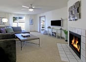 Thumbnail 13 of 25 - a living room with a fireplace and a couch