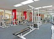 Thumbnail 15 of 42 - Apartments conveniently located in the Bayou area of Houston with a huge fitness center with separate weights and cardio areas.