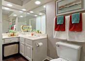 Thumbnail 17 of 36 - Luxury apartments with wood grain plank floors, extra cabinet space, white cabinets, built-in vanity, and glass shower at Lenox Village Apartments in Lincoln, NE