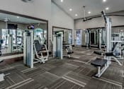 Thumbnail 23 of 36 - Luxury apartments next to the Galleria in Dallas with fitness center at Villa Piana Apartments