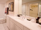 Thumbnail 15 of 41 - Huge master bathroom with spacious walk-in closet, lots of cabinet space, tiled floor, tiled shower with tub at Embassy Park Apartments in Omaha, Nebraska