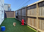 Thumbnail 35 of 42 - Luxury apartments with puppy palazzo, dog park, dog yard, at Tuscany Walk Apartments in Houston.