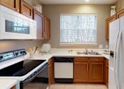 Thumbnail 9 of 20 - Luxury apartments with spacious kitchens, custom home cabinets, and side-by-side refrigerators at Tuscany Gate Apartments in Houston.