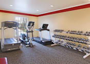 Thumbnail 21 of 30 - Fitness center with cardio equipment and weights at the Vanderbilt Apartments in Omaha, Nebraska