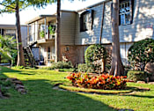 Thumbnail 5 of 22 - Gated apartment community close to the Galleria with pool, spa, poolside lounge chairs, lush landscaping, beautiful landscaping, and neighborhood setting.