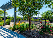 Thumbnail 9 of 12 - A garden with a white pergola and a black fence.