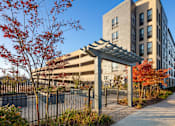 Thumbnail 2 of 8 - A tree with red leaves is in front of a grey building.