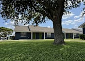 Thumbnail 2 of 14 - A tree stands in front of a blue house.