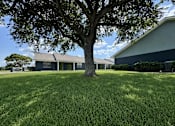 Thumbnail 13 of 14 - A tree stands in a grassy field in front of a house.
