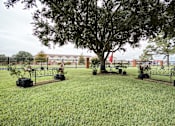 Thumbnail 5 of 8 - A tree in a pot sits in the middle of a grassy area.