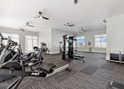 Thumbnail 20 of 27 - Apartment fitness center with strength training equipment and natural light