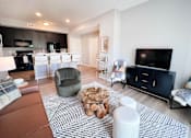Thumbnail 38 of 111 - Living Room with a Black and White Rug at Hebron Station Apartments, Hebron