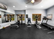 Thumbnail 8 of 25 - Fitness Center at Ashton Oaks, New Port Richey, Florida