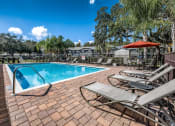 Thumbnail 6 of 25 - our resort style swimming pool is centrally located in our apartments at Ashton Oaks, New Port Richey