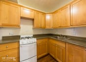 Thumbnail 33 of 37 - Moana Vista 1 Bedroom Kitchen full view
