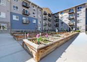 Thumbnail 26 of 70 - A long wooden planter box with flowers in front of apartment buildings.