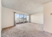 Thumbnail 8 of 24 - Seaview Apartments living room