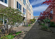 Thumbnail 5 of 25 - A tree with red leaves is on the right side of a brick pathway.