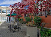 Thumbnail 7 of 25 - A patio with a table and chairs and a tree with red leaves.