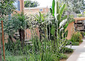 Thumbnail 19 of 21 - A wall with plants growing on it.