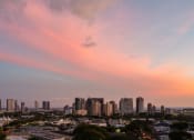 Thumbnail 35 of 38 - sunset of the city