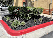 Thumbnail 18 of 18 - Irvine Inn Landscape