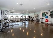 Thumbnail 16 of 41 - A gym with a variety of equipment including treadmills, weights, and exercise balls.