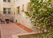 Thumbnail 18 of 25 - A tree is in front of a brick wall.
