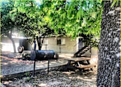 Thumbnail 6 of 9 - A tree with a barrel and a picnic table underneath it.