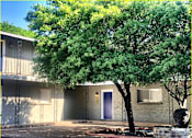Thumbnail 9 of 9 - A tree in front of a building with a blue door.