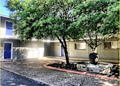 Thumbnail 8 of 9 - A tree in front of a building with a round planter.