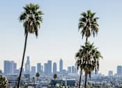 Thumbnail 12 of 13 - Two palm trees in front of a city skyline.