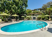 Thumbnail 1 of 27 - A swimming pool surrounded by trees and umbrellas.