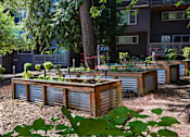 Thumbnail 17 of 21 - Larkspur West Linn Staged Community Garden