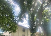 Thumbnail 4 of 7 - a sidewalk in front of a building