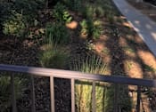 Thumbnail 14 of 21 - Ponderosa Apartments Exterior Front Sidewalk and Landscaping