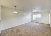 Thumbnail 14 of 19 - A room with a carpeted floor, a ceiling fan, and a window with blinds.
