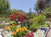 Thumbnail 6 of 15 - Sorrento Villas garden