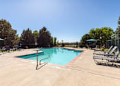 Thumbnail 8 of 33 - A large swimming pool surrounded by trees and lounge chairs.