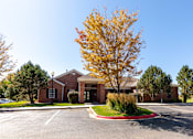 Thumbnail 5 of 33 - A tree with yellow leaves is in front of a brick building.