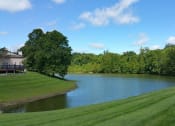 Thumbnail 23 of 35 - a large body of water next to a grassy field