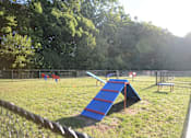 Thumbnail 34 of 35 - A playground with a blue slide and a red ladder.